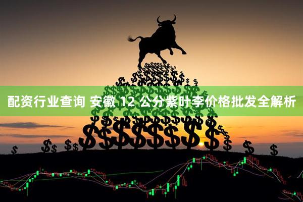 配资行业查询 安徽 12 公分紫叶李价格批发全解析