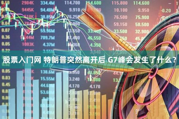 股票入门网 特朗普突然离开后 G7峰会发生了什么？